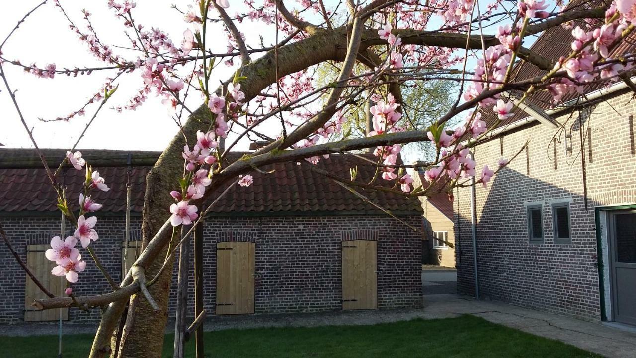 Villa De Molenkreek Sint-Margriete Exterior foto